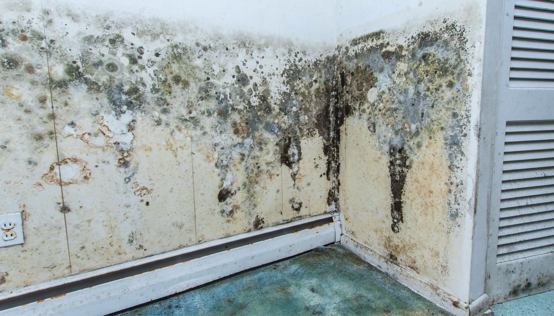 Professional mold removal, odor control, and water damage restoration service in Columbia, South Carolina.