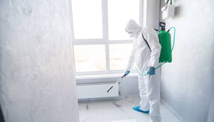 We provide the highest-quality mold inspection, testing, and removal services in the Columbia, South Carolina area.